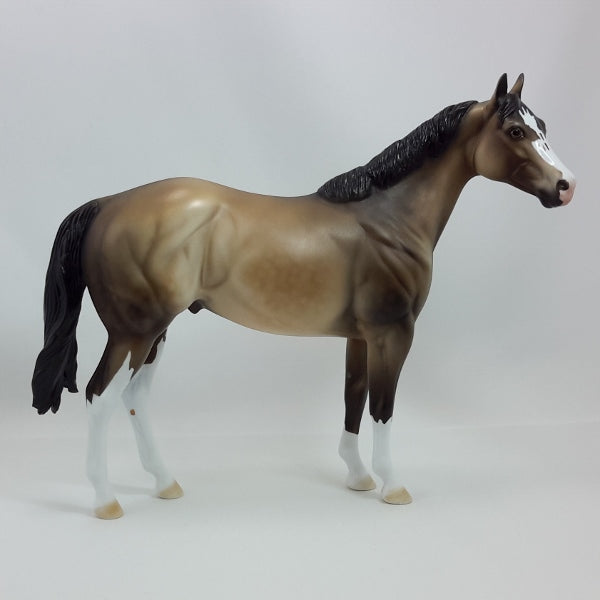 ALL IS CALM - OOAK Dapple Buckskin Stock Horse 12/14