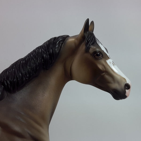 ALL IS CALM - OOAK Dapple Buckskin Stock Horse 12/14