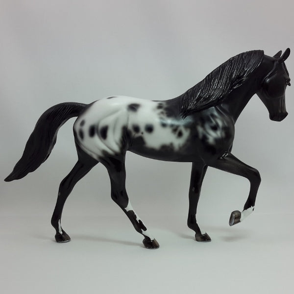 SPOTS OF SNOW - OOAK Appaloosa Tennessee Walker 12/14