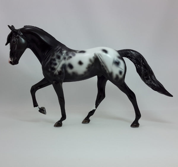 SPOTS OF SNOW - OOAK Appaloosa Tennessee Walker 12/14