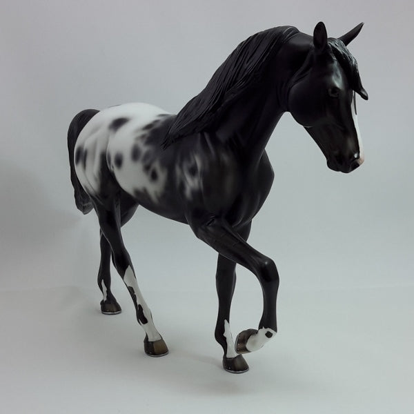 SPOTS OF SNOW - OOAK Appaloosa Tennessee Walker 12/14