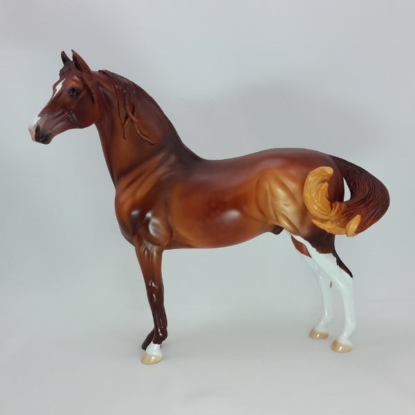 CELTIC CHRISTMAS - OOAK Dapple Red Chestnut Morgan 12/14