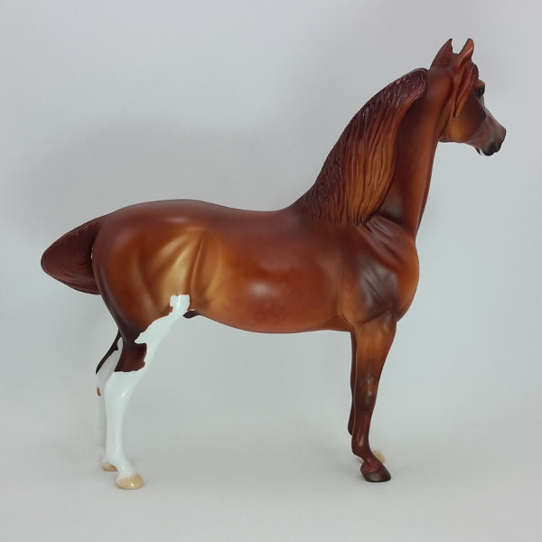 CELTIC CHRISTMAS - OOAK Dapple Red Chestnut Morgan 12/14