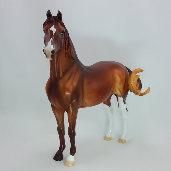 CELTIC CHRISTMAS - OOAK Dapple Red Chestnut Morgan 12/14