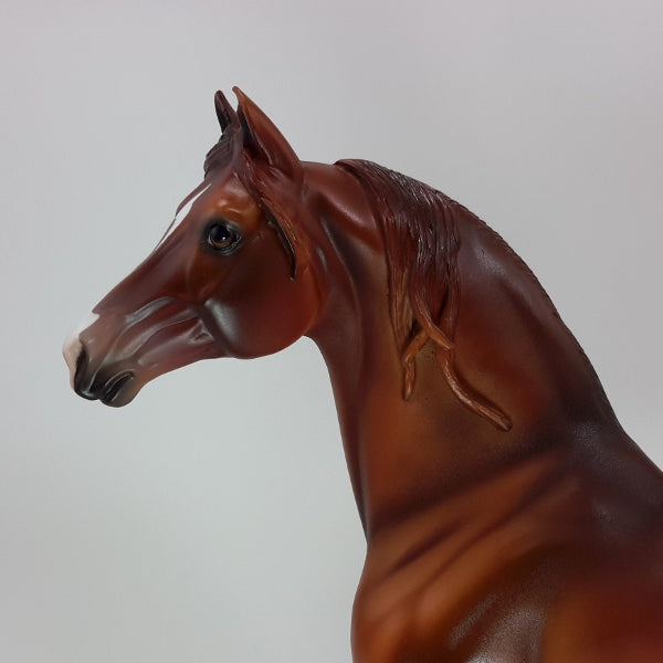 CELTIC CHRISTMAS - OOAK Dapple Red Chestnut Morgan 12/14