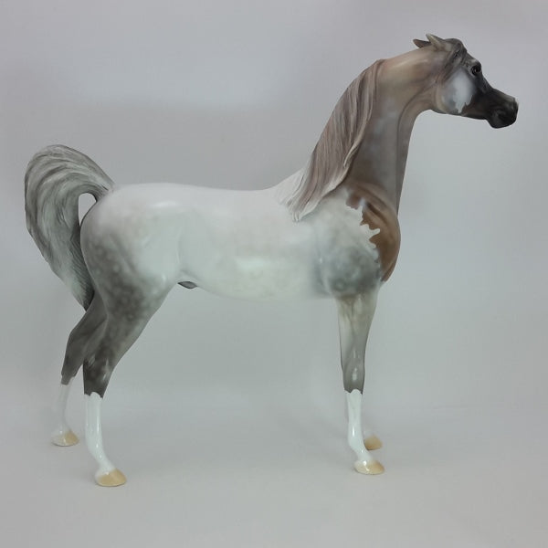 ALL IS BRIGHT - OOAK Bloody Shoulder Gray Arabian 12/14
