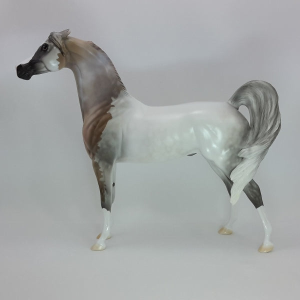 ALL IS BRIGHT - OOAK Bloody Shoulder Gray Arabian 12/14