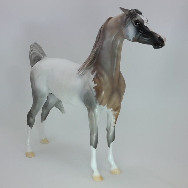 ALL IS BRIGHT - OOAK Bloody Shoulder Gray Arabian 12/14
