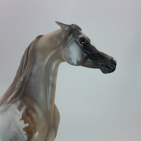 ALL IS BRIGHT - OOAK Bloody Shoulder Gray Arabian 12/14