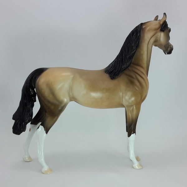 ROUND YON VIRGIN - OOAK Dapple Buckskin Arabian Mare 12/14