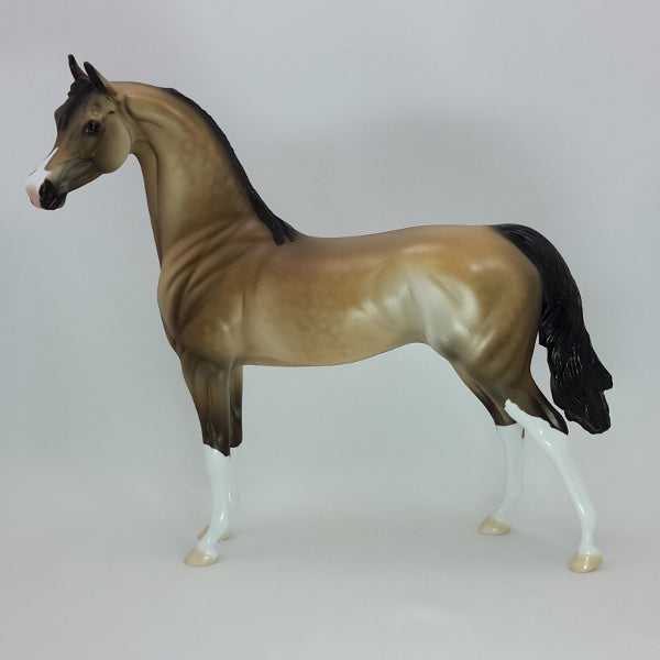 ROUND YON VIRGIN - OOAK Dapple Buckskin Arabian Mare 12/14