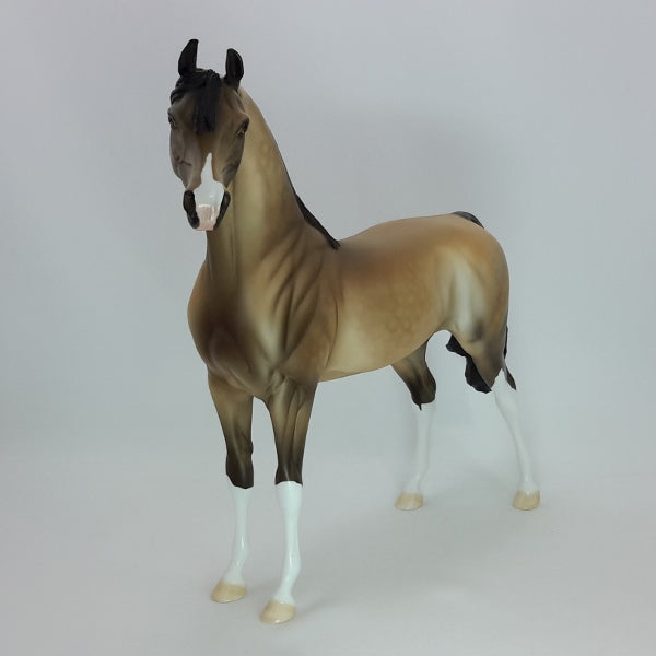 ROUND YON VIRGIN - OOAK Dapple Buckskin Arabian Mare 12/14