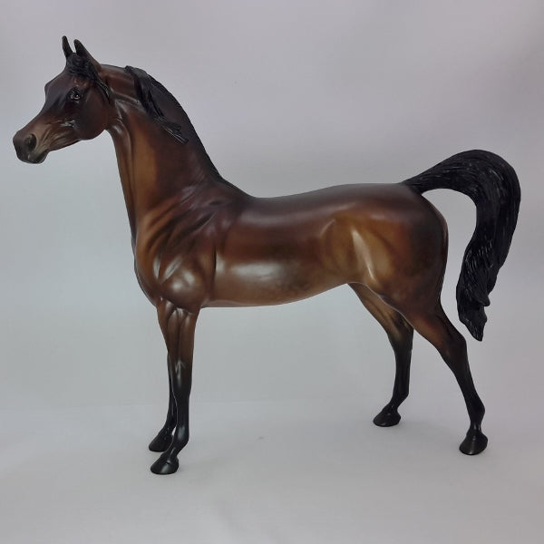 CHRISTMAS EARL - OOAK Dapple Bay Arabian 12/14