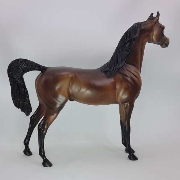 CHRISTMAS EARL - OOAK Dapple Bay Arabian 12/14