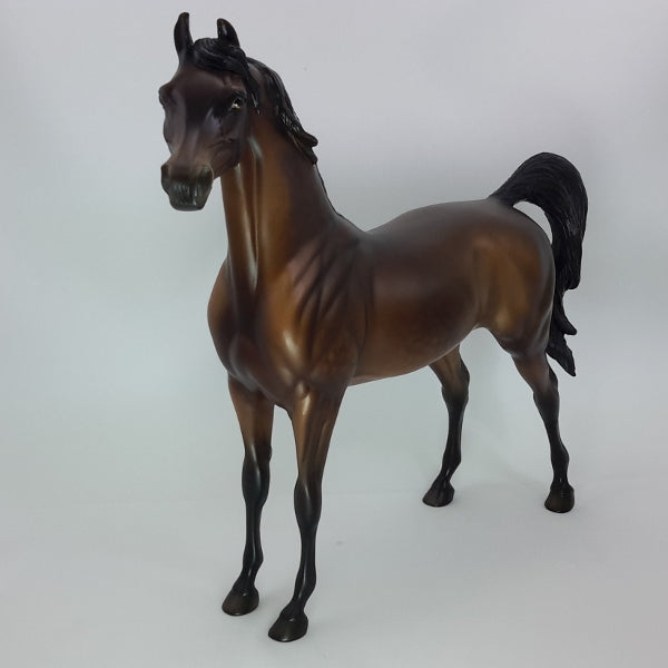 CHRISTMAS EARL - OOAK Dapple Bay Arabian 12/14