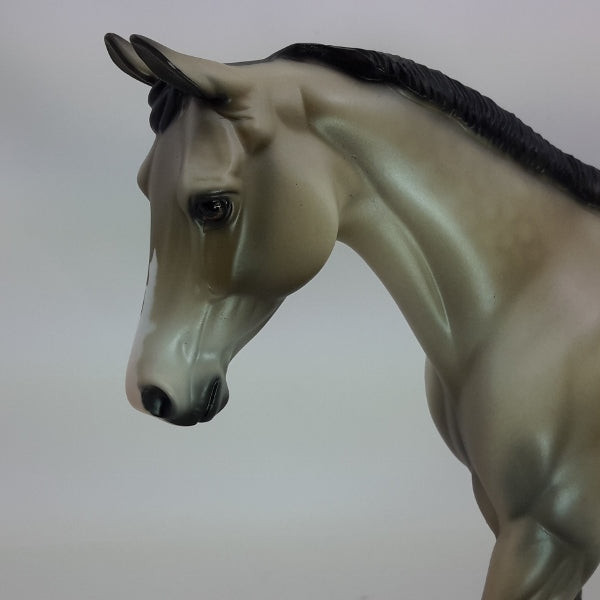 GALLIANO - Dapple Sooty Buckskin Pinto Palouse Model Horse - LE4 - 6/15