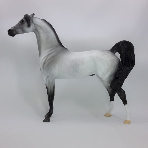 CAN'T TOUCH THIS - OOAK Dapple Gray Arabian 12/14