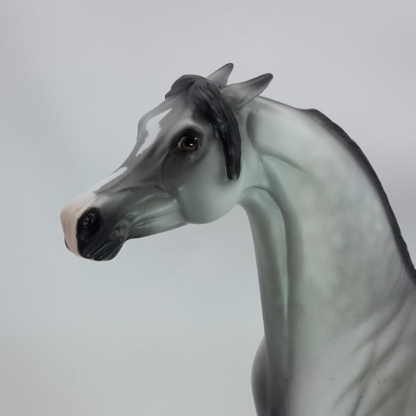 CAN&#39;T TOUCH THIS - OOAK Dapple Gray Arabian 12/14