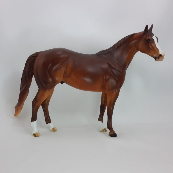 BIG DAN - OOAK Dark Dapple Chestnut Stock Horse