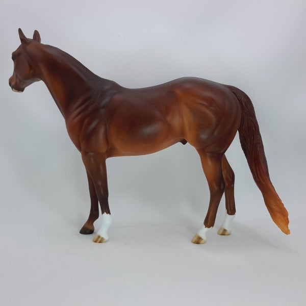 BIG DAN - OOAK Dark Dapple Chestnut Stock Horse