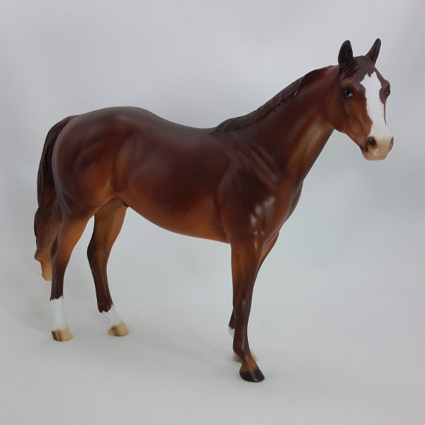 BIG DAN - OOAK Dark Dapple Chestnut Stock Horse