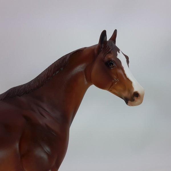 BIG DAN - OOAK Dark Dapple Chestnut Stock Horse