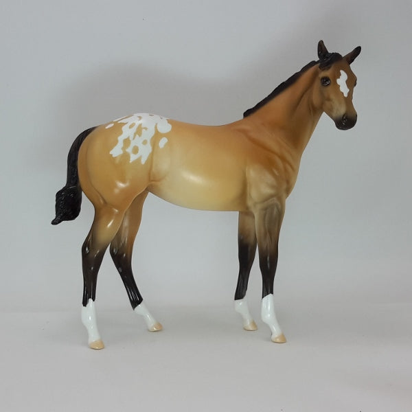 LET'S PARTY - OOAK Buckskin Appaloosa Weanling 12/14