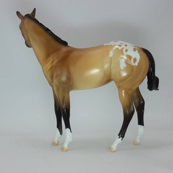 LET&#39;S PARTY - OOAK Buckskin Appaloosa Weanling 12/14