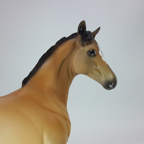 LET&#39;S PARTY - OOAK Buckskin Appaloosa Weanling 12/14