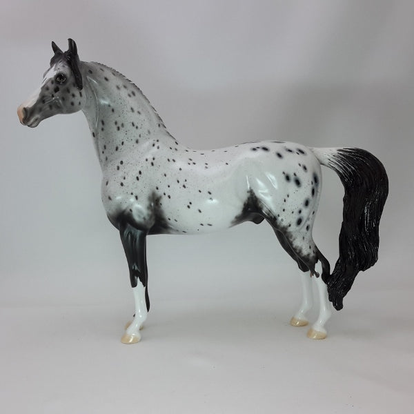 BUBBLY - OOAK Leopard Appaloosa Morgan 12/14