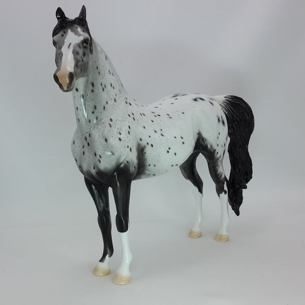 BUBBLY - OOAK Leopard Appaloosa Morgan 12/14