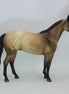 TIME FLIES - OOAK Dapple Buckskin Stock Horse 12/14