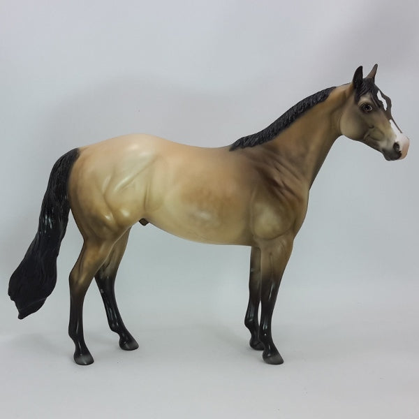 TIME FLIES - OOAK Dapple Buckskin Stock Horse 12/14