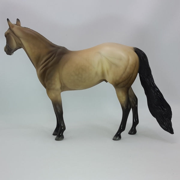 TIME FLIES - OOAK Dapple Buckskin Stock Horse 12/14