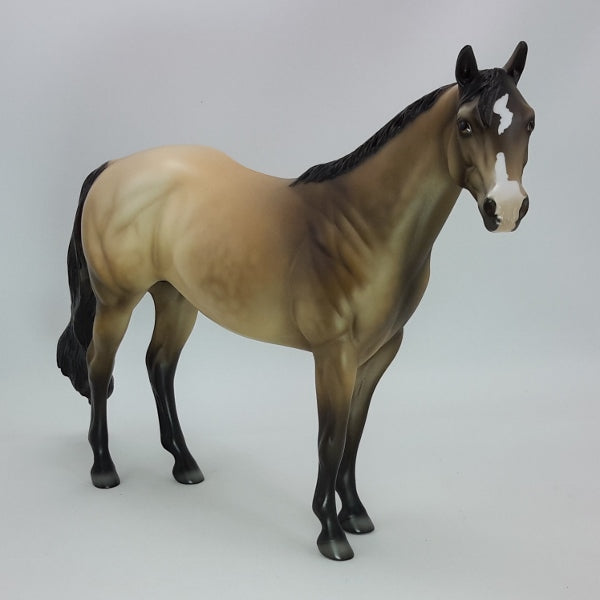 TIME FLIES - OOAK Dapple Buckskin Stock Horse 12/14