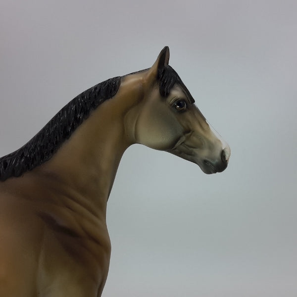 TIME FLIES - OOAK Dapple Buckskin Stock Horse 12/14