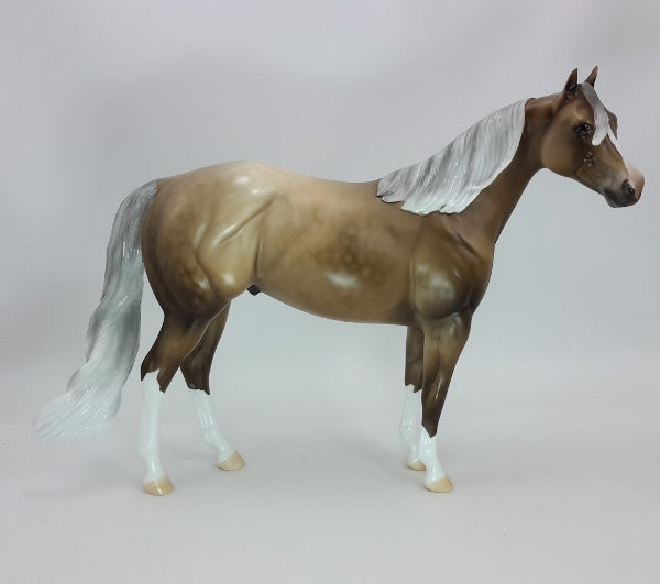 TIMES SQUARE - OOAK Dapple Chocolate Palomino 12/14