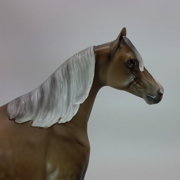 TIMES SQUARE - OOAK Dapple Chocolate Palomino 12/14