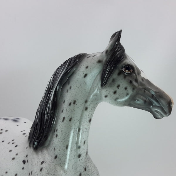 BUBBLY - OOAK Leopard Appaloosa Morgan 12/14