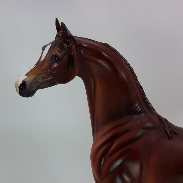 PARADING AROUND - OOAK Dapple Chestnut Arabian 12/14