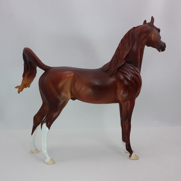 PARADING AROUND - OOAK Dapple Chestnut Arabian 12/14