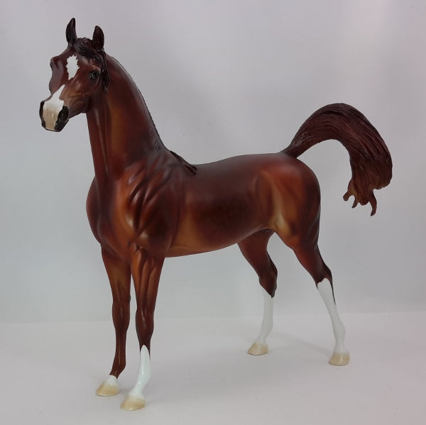 PARADING AROUND - OOAK Dapple Chestnut Arabian 12/14