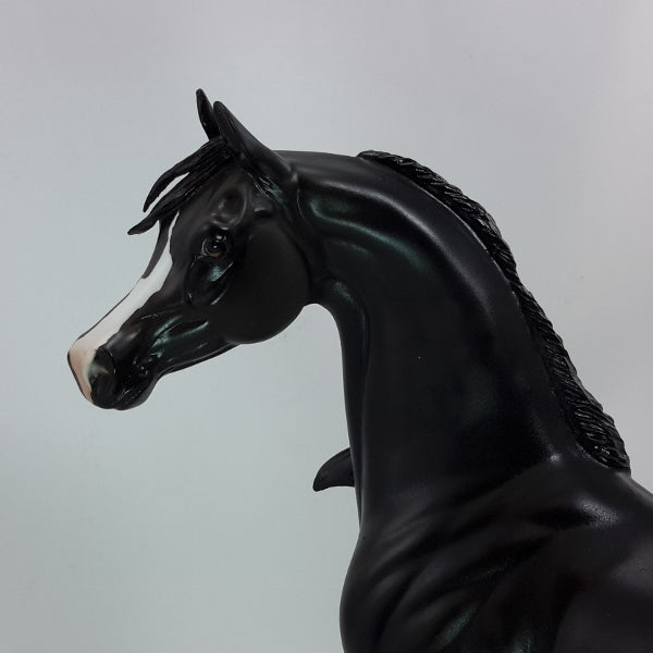 ROCKIN&#39; TILL MIDNIGHT - OOAK Dapple Black Arabian Mare 12/14