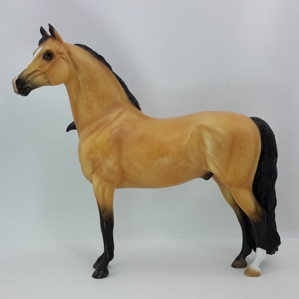 TOAST OF THE TOWN - OOAK Dapple Buckskin Morgan 12/14