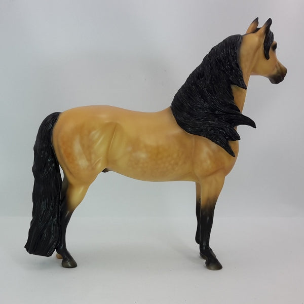 TOAST OF THE TOWN - OOAK Dapple Buckskin Morgan 12/14