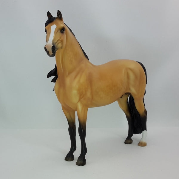 TOAST OF THE TOWN - OOAK Dapple Buckskin Morgan 12/14