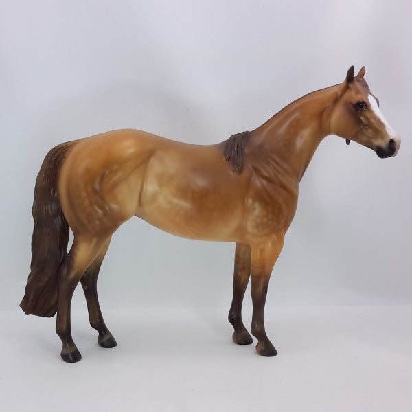 NEW YEAR CHEERS - OOAK Red Dun Stock Horse Mare 12/14