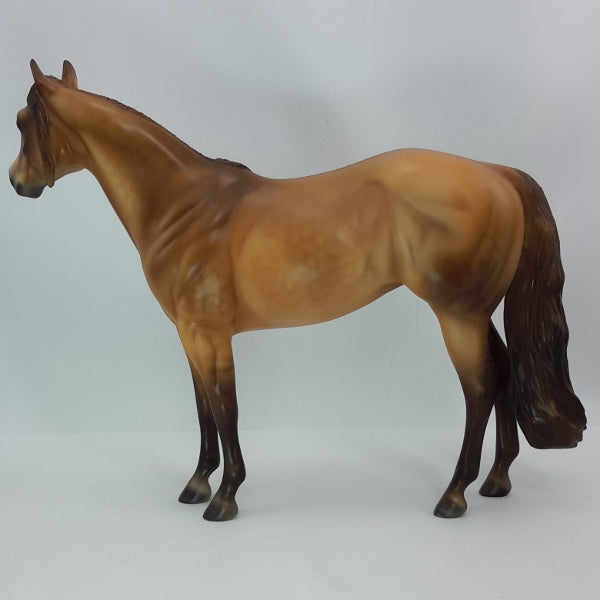 NEW YEAR CHEERS - OOAK Red Dun Stock Horse Mare 12/14