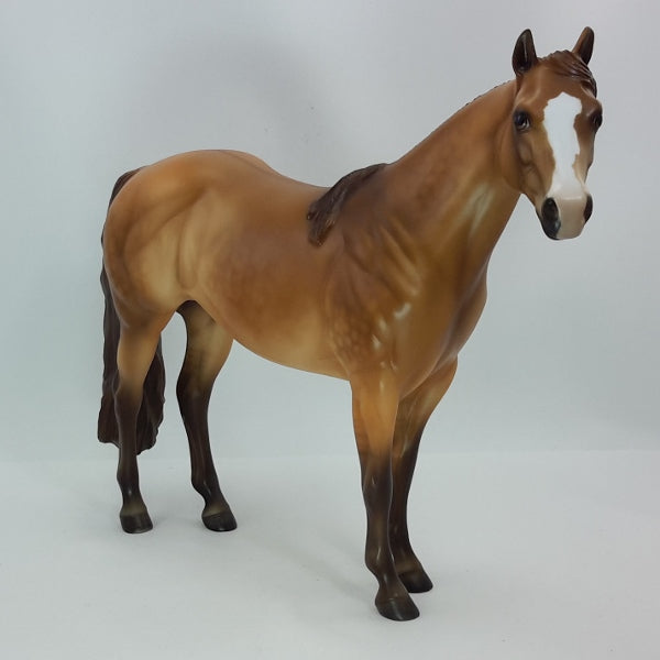 NEW YEAR CHEERS - OOAK Red Dun Stock Horse Mare 12/14