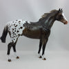 IT&#39;S A CELEBRATION - OOAK Blanket Appaloosa Stock Horse 12/14